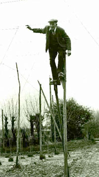 hop man on stilts